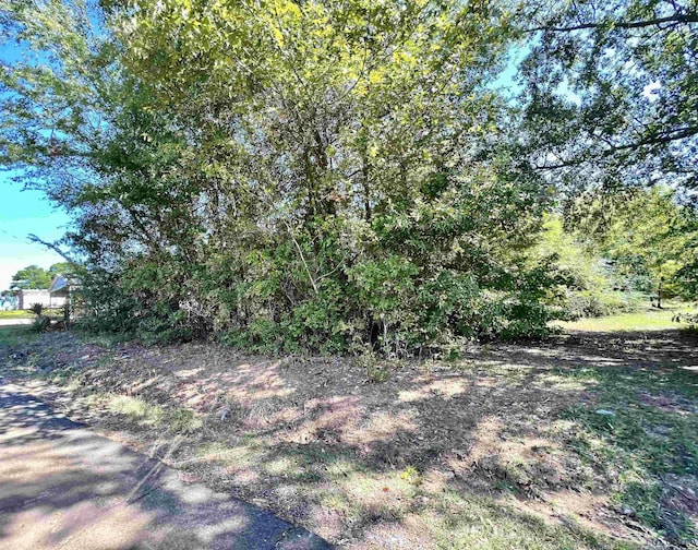 813 Carpenter St, Daingerfield, TX 75638 - photo 2