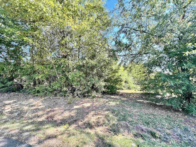 813 Carpenter St, Daingerfield, TX 75638 - photo 1