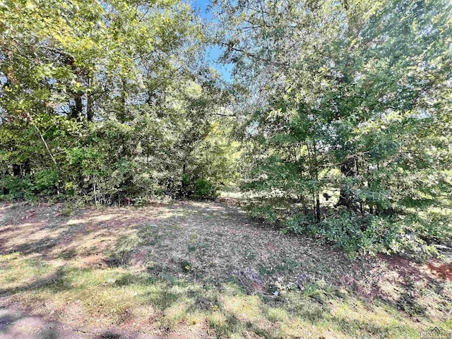 813 Carpenter St, Daingerfield, TX 75638 - photo 4