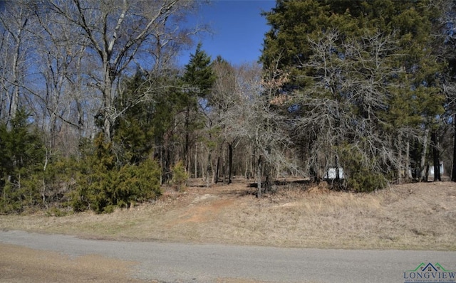 371 Vz County Road 4512, Ben Wheeler TX, 75754 land for sale