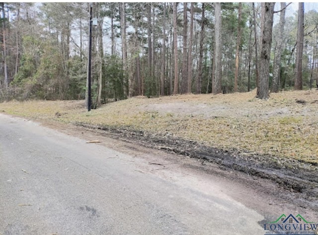 Pine Tree Dr, Harleton, TX 75651 - photo 2