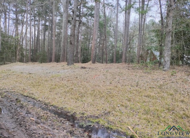 Pine Tree Dr, Harleton, TX 75651 - photo 3