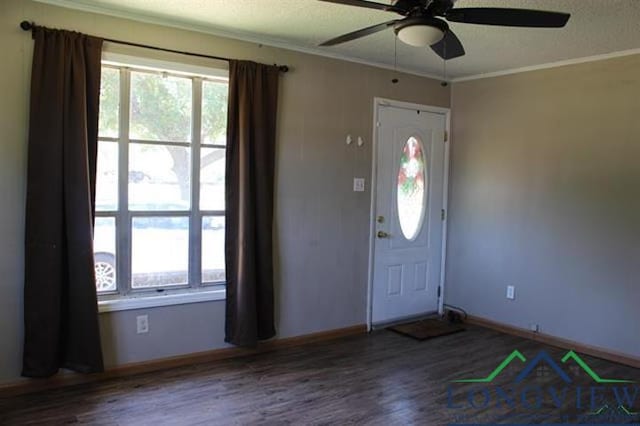 foyer with hardwood / wood-style flooring, plenty of natural light, and ceiling fan