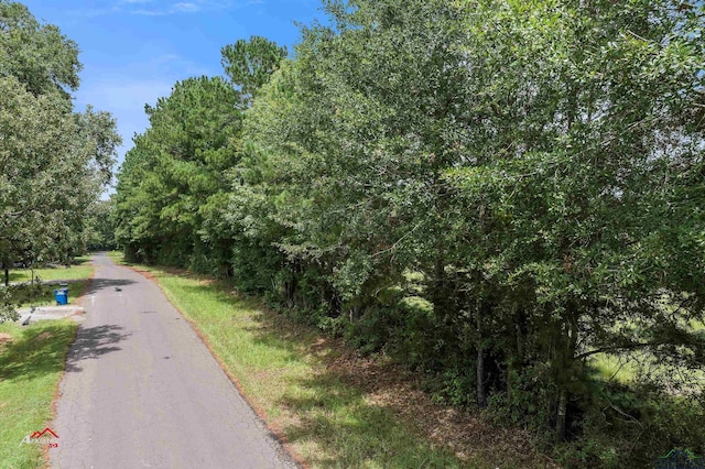 Listing photo 2 for TBD County Rd 194, Gary City TX 75643