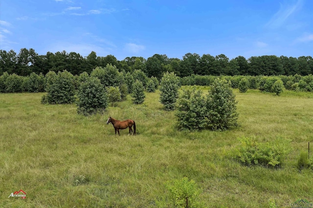 Listing photo 3 for TBD County Rd 194, Gary City TX 75643