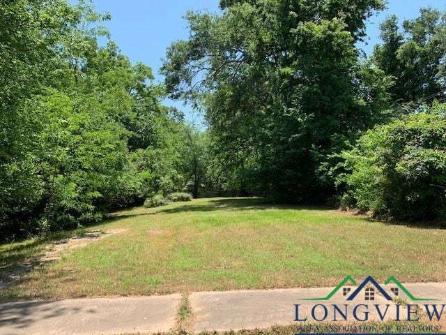 402 E Taylor St, Jefferson, TX 75657 - photo 5
