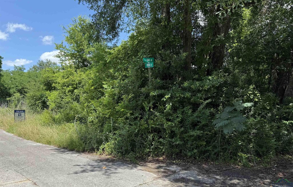 TBD(+/-4.32ac) Penn Street, Henderson, TX 75654 - photo 1