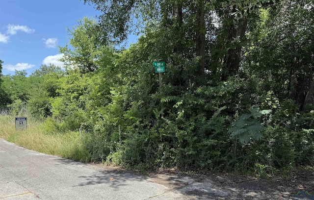 TBD(+/-4.32ac) Penn Street, Henderson, TX 75654 - photo 1
