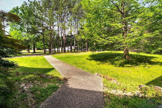 414 Harper Dr, Marshall, TX 75672 - view of property's community featuring a yard