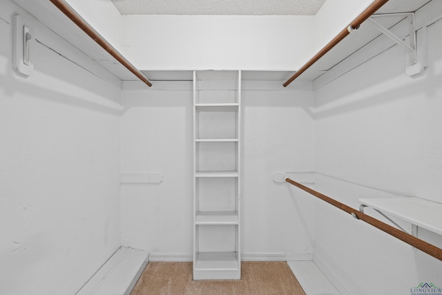 1307 Spring Tree Ln, Kilgore, TX 75662 - walk in closet featuring light carpet