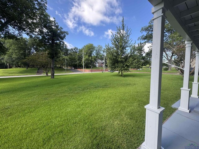 501 E Main, Henderson, TX 75652 - photo 7