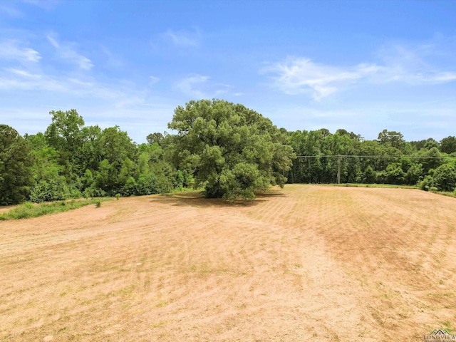 3506 Dudley Rd, Kilgore, TX 75662 - view of tree filled area