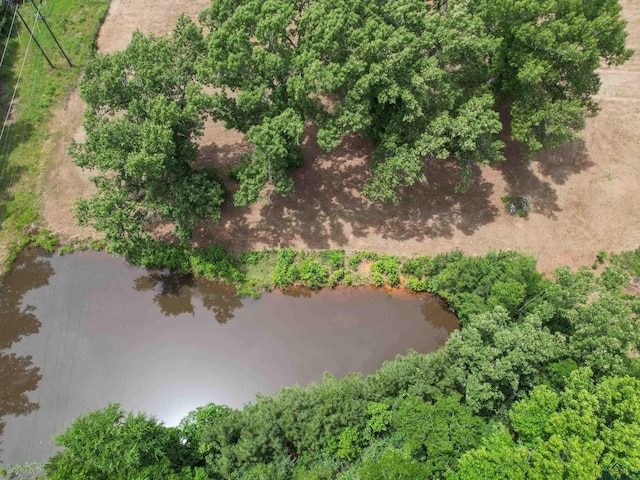 3506 Dudley Rd, Kilgore, TX 75662 - aerial view of a nearby body of water