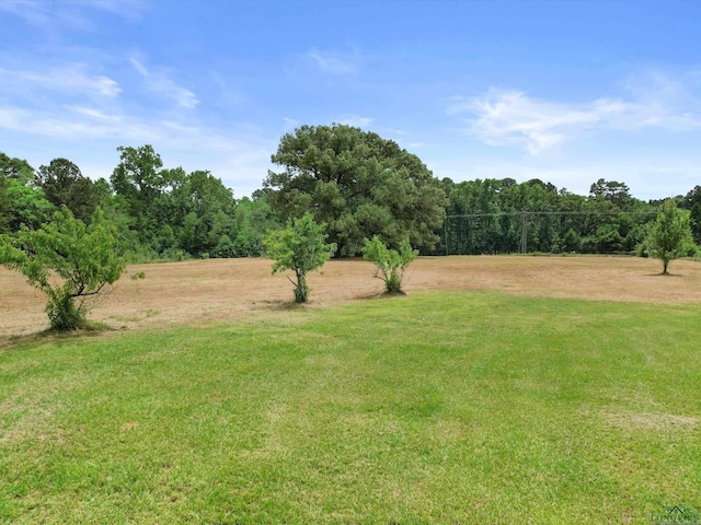 3506 Dudley Rd, Kilgore, TX 75662 - view of green lawn with a view of trees