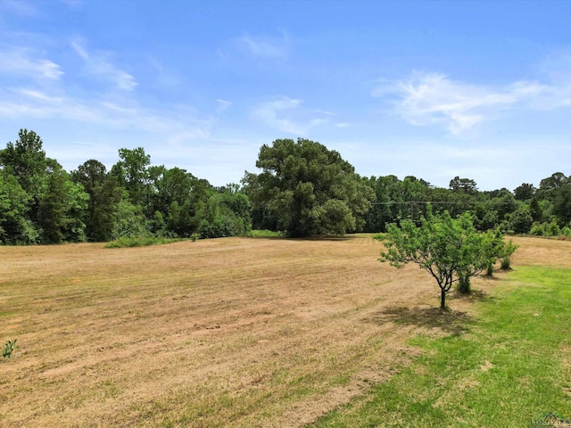 3506 Dudley Rd, Kilgore, TX 75662 - view of green lawn featuring a view of countryside and a forest view