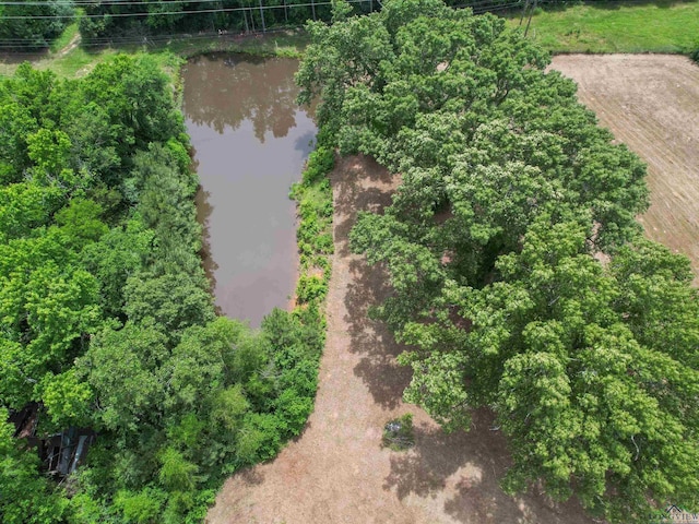 3506 Dudley Rd, Kilgore, TX 75662 - bird's eye view of a large body of water
