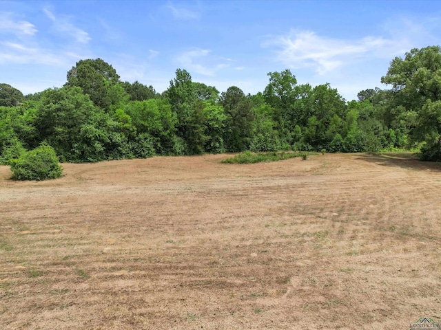 3506 Dudley Rd, Kilgore, TX 75662 - view of wooded area