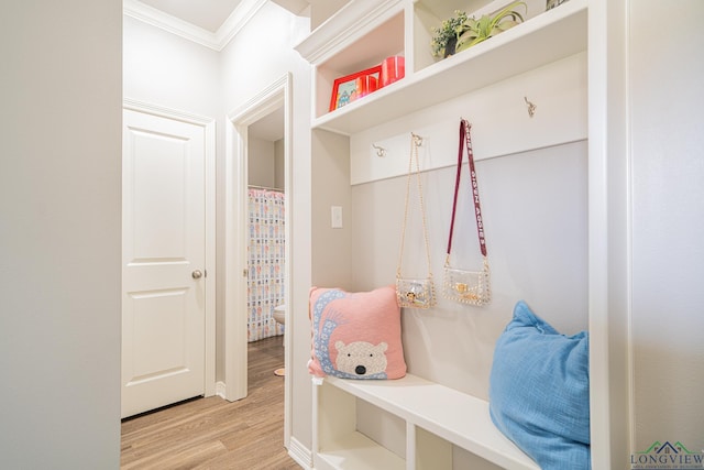 mudroom with light hardwood / wood-style floors and ornamental molding