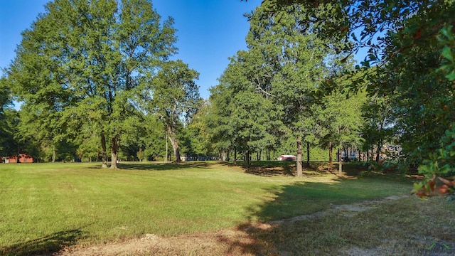 Listing photo 3 for TBD Majestic Oaks, De Berry TX 75639