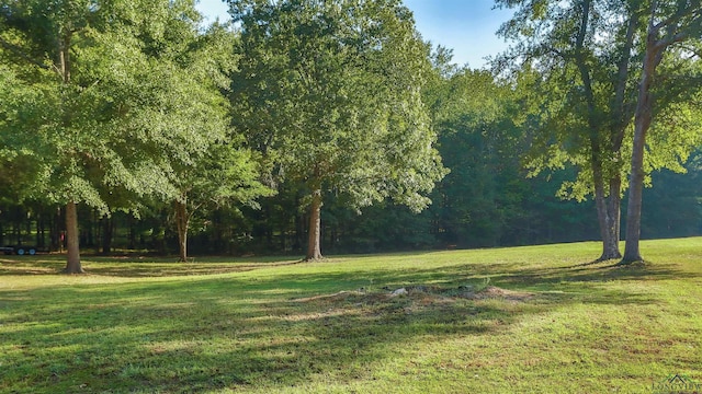 TBD Majestic Oaks, De Berry TX, 75639 land for sale