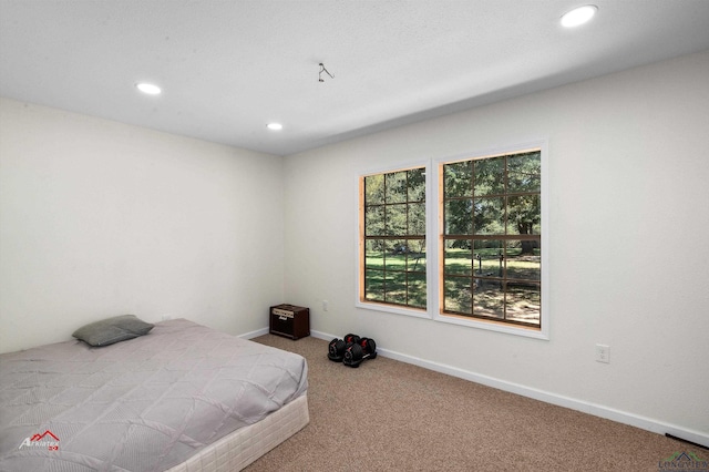 view of carpeted bedroom