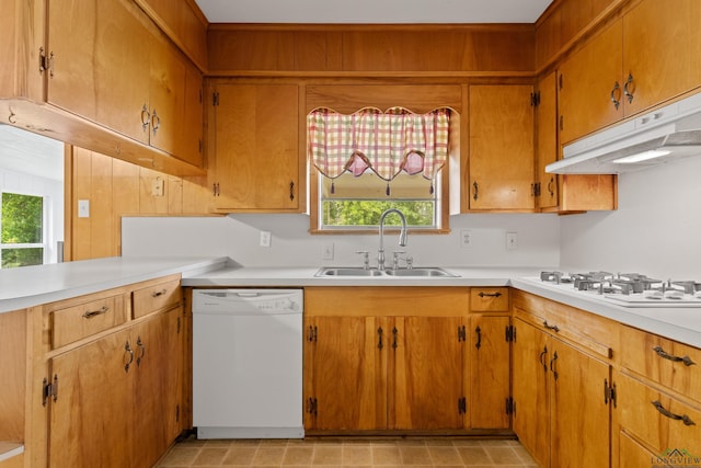 kitchen featuring a sink, light countertops, under cabinet range hood, and white appliances