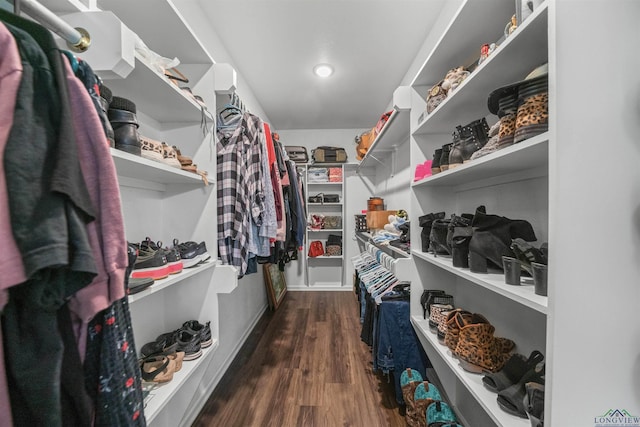 spacious closet featuring dark wood finished floors