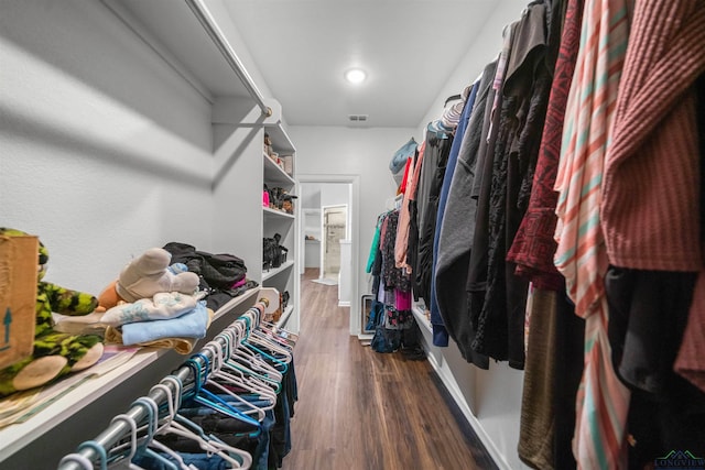 spacious closet featuring visible vents and dark wood-type flooring