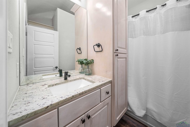 full bathroom featuring vanity