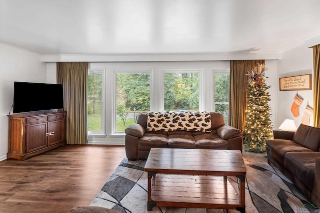 living room featuring dark wood-type flooring