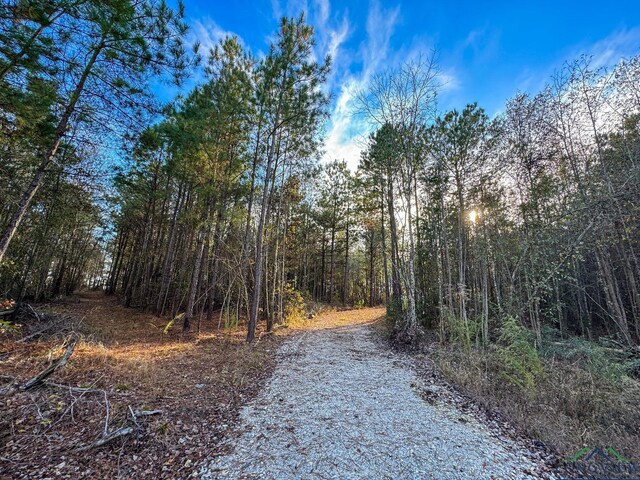 TBD Fm 1399, Linden, TX 75563