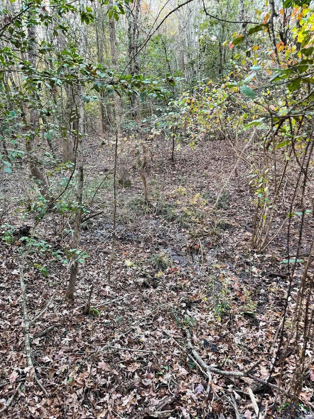 TBD Fm 1399, Linden, TX 75563