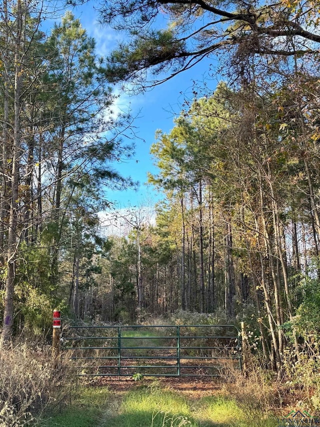 TBD Fm 1399, Linden, TX 75563