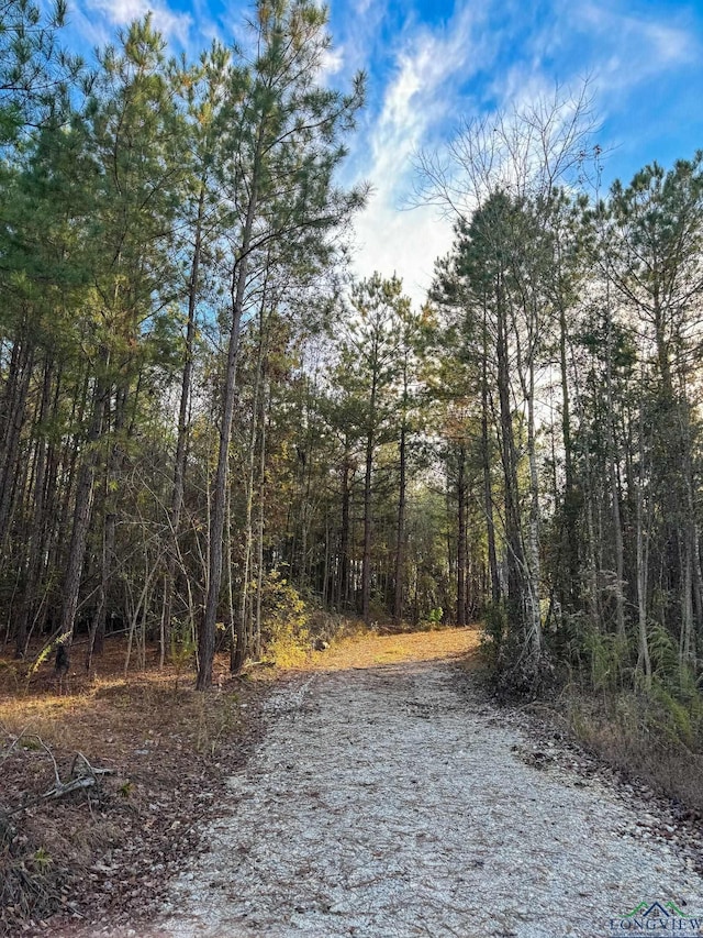 TBD Fm 1399, Linden, TX 75563
