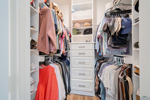 walk in closet featuring light wood-type flooring