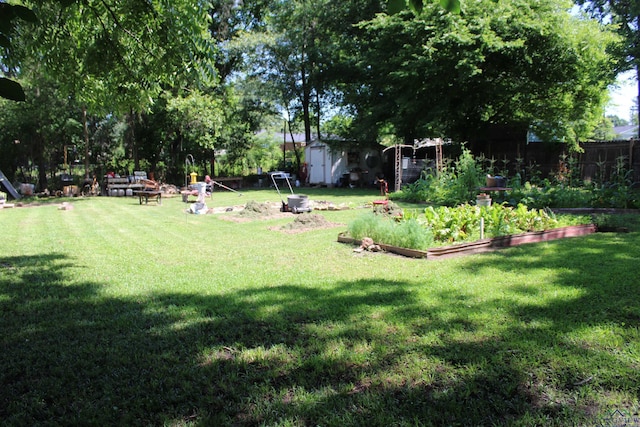 105 Bernard Blvd, Naples, TX 75568 - view of yard with a garden and a storage unit