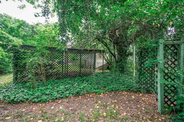 508 N Soda St, Jefferson, TX 75657 - view of yard