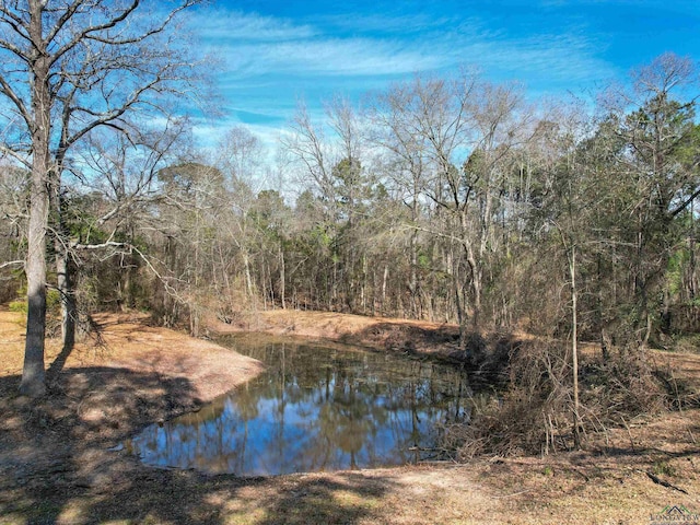 view of water feature featuring a view of trees