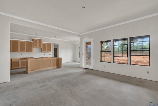 unfurnished living room with ornamental molding