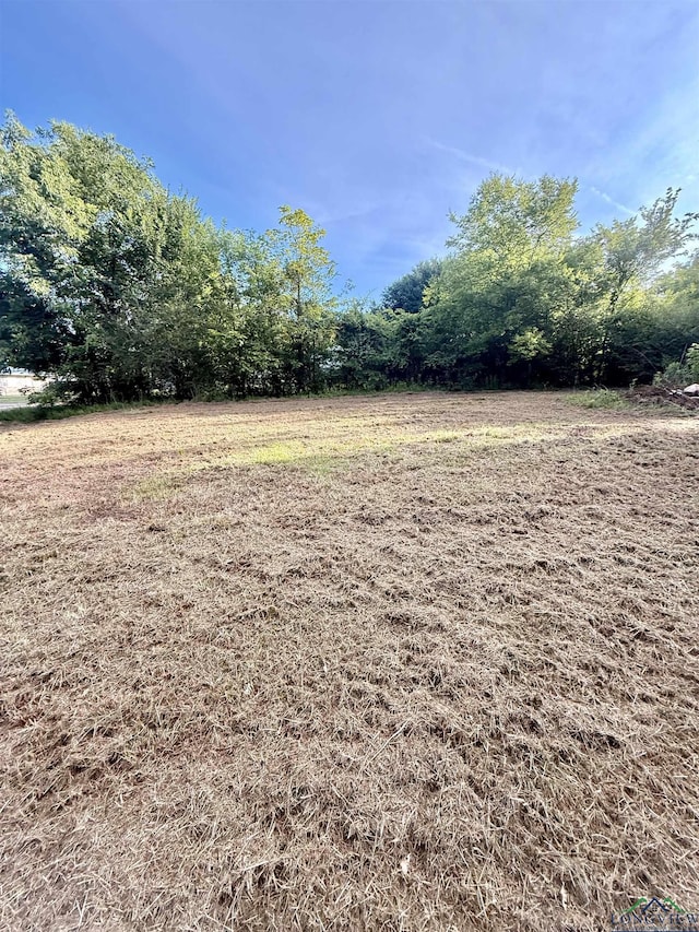 118 Nolte Dr, Naples, TX 75568 - photo 12