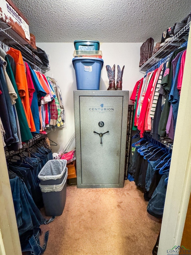 1226 County Road 1896, Linden, TX 75563 - walk in closet with carpet floors