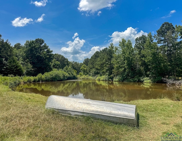 1226 County Road 1896, Linden, TX 75563 - water view featuring a forest