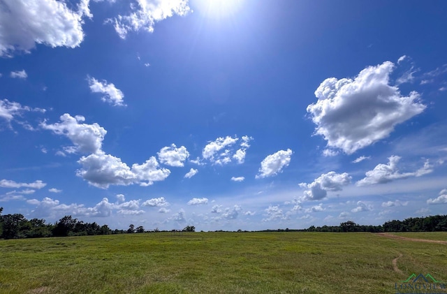 1226 County Road 1896, Linden, TX 75563 - view of undeveloped land with rural landscape