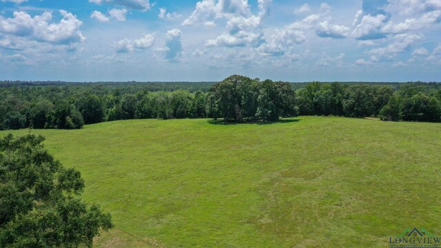 1226 County Road 1896, Linden, TX 75563 - view of grassy yard featuring a view of countryside and a forest view