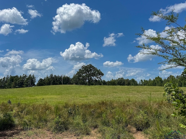 1226 County Road 1896, Linden, TX 75563 - view of local wilderness with rural landscape