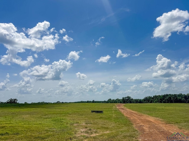 1226 County Road 1896, Linden, TX 75563 - view of property's community featuring a view of rural / pastoral area and a lawn