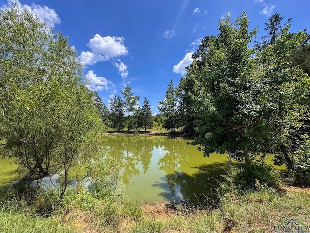 1226 County Road 1896, Linden, TX 75563 - water view
