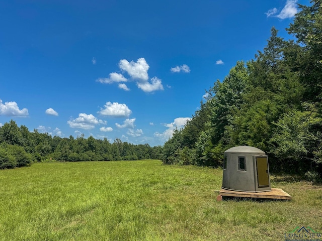 1226 County Road 1896, Linden, TX 75563 - view of grassy yard with a view of trees and a storage unit