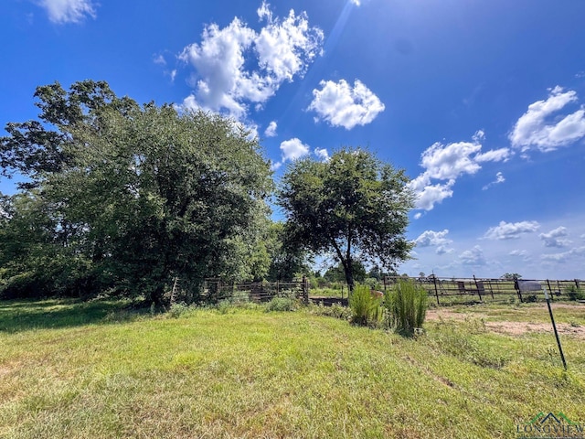 1226 County Road 1896, Linden, TX 75563 - view of yard featuring a view of countryside