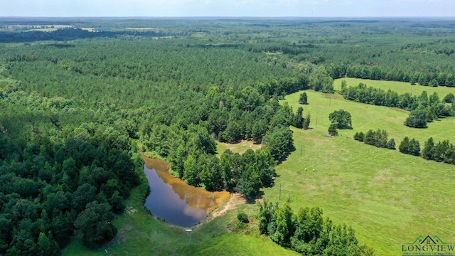 1226 County Road 1896, Linden, TX 75563 - drone / aerial view of a forest and a large body of water